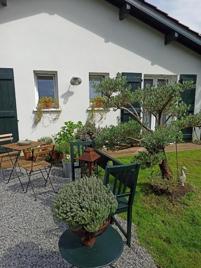 Loretxea Sare Exterior photo